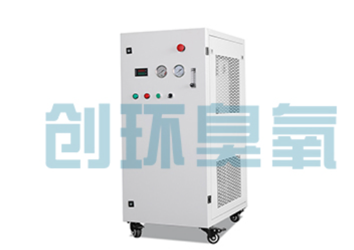 安庆石斑鱼养殖水质调控完整指南：臭氧发生器配置与操作步骤