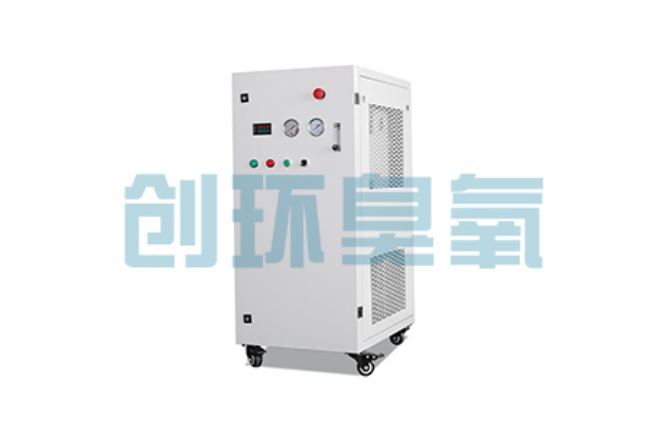 安庆比传统换水更高效？臭氧发生器在石斑鱼养殖中的水质净化原理解析
